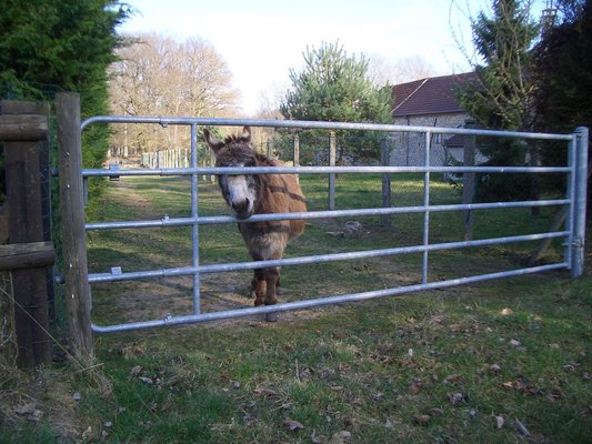 Pièces - Pièces agri - Barrière herbage ECO emboîtée 3/4M