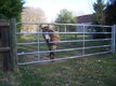 Pièces - Pièces agri - Barrière herbage ECO emboîtée 3/4M