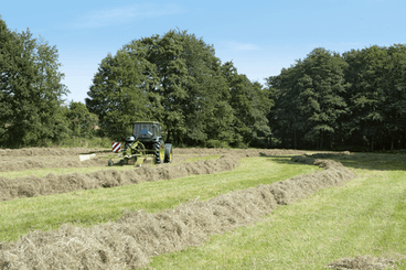 Fenaison - Andaineurs - Andaineur mono rotor SWADRO