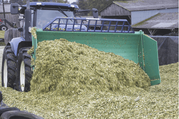 Matériel de ferme/outillage - Lames niveleuse - Lame à ensilage