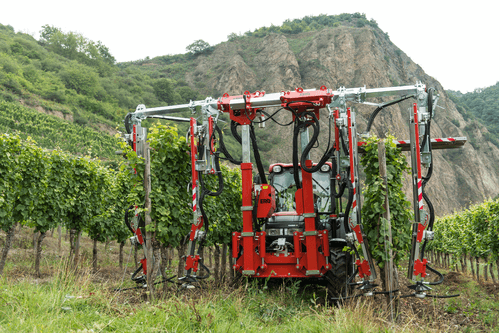 Entretien - Rogneuses viti-arbo - Rogneuse viti-arbo ÉLITE