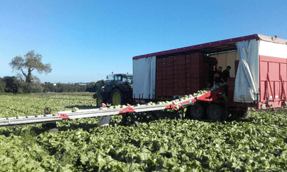 Transport - Transport Maraîchage - Remorque légumière