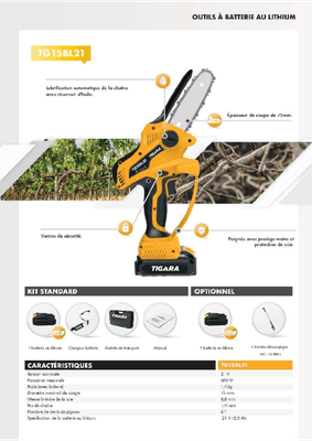 Bois - Tronçonneuses électriques - Scie de jardin à batterie TG15 BL21 et perche