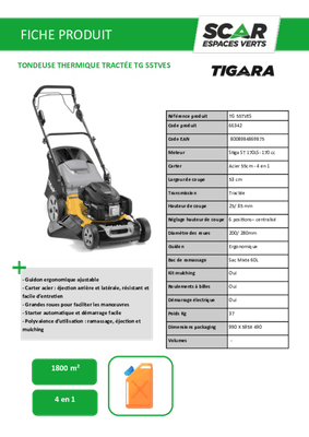 Herbes et entretien - Tondeuses thermiques - Tondeuse thermique tractée TG 55 TVES