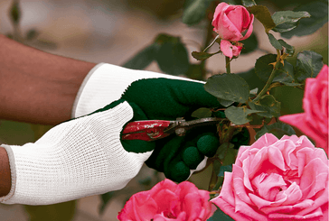Equipement et protection individuelle - Gants - Gants de jardinage ECO FLEX