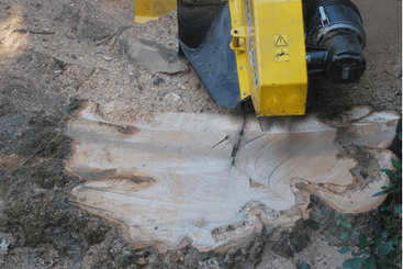Matériel forestier - Autres matériels forestiers - Rogneuse de souches XYLOCROK